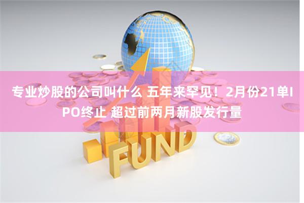 专业炒股的公司叫什么 五年来罕见！2月份21单IPO终止 超过前两月新股发行量