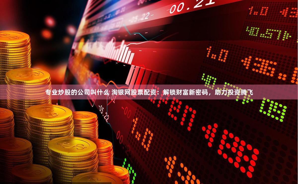 专业炒股的公司叫什么 淘银网股票配资：解锁财富新密码，助力投资腾飞