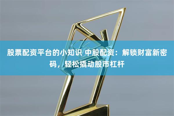 股票配资平台的小知识 中股配资：解锁财富新密码，轻松撬动股市杠杆